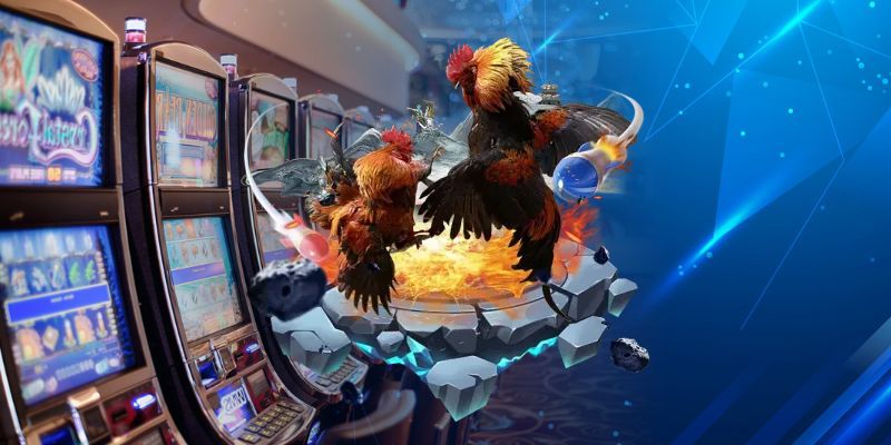 Hệ thống phát sóng đá gà 58WIN ổn định