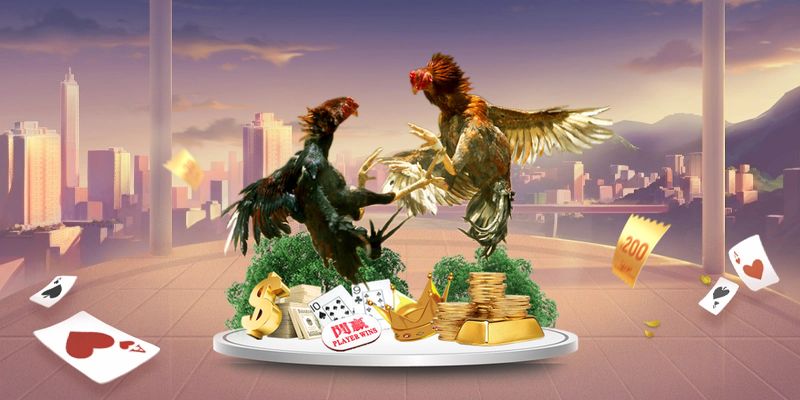 Đá gà WS168 livestream mượt mà ổn định